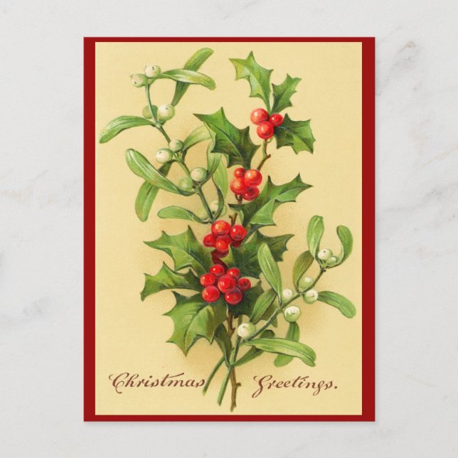 Vintage Christmas Holly Postcard (Front)
