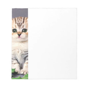 Vintage Christmas Kitten and Holly Notepad
