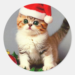 Vintage Christmas Kitten in Santa Hat Classic Round Sticker