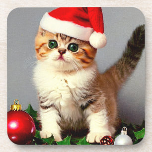 Vintage Christmas Kitten in Santa Hat Coaster