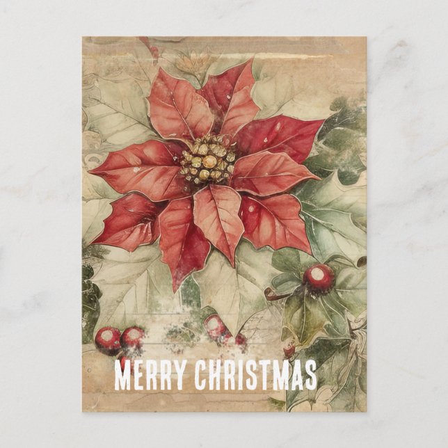 Vintage Christmas Poinsettia Flower Postcard (Front)