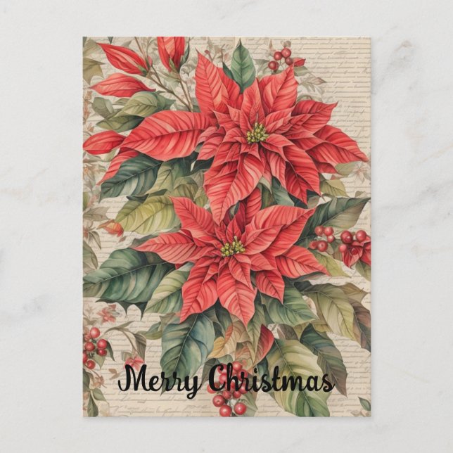 Vintage Christmas Poinsettia Flowers Postcard (Front)