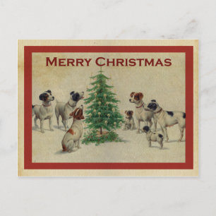 Vintage Christmas Postcard