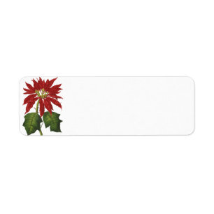 Vintage Christmas, Red Poinsettia Winter Plant Return Address Label