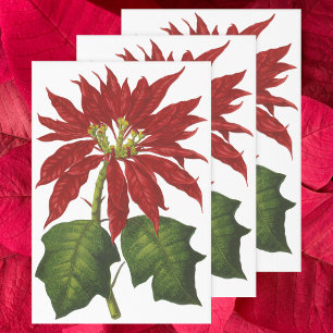 Vintage Christmas, Red Poinsettia Winter Plant Wrapping Paper Sheet