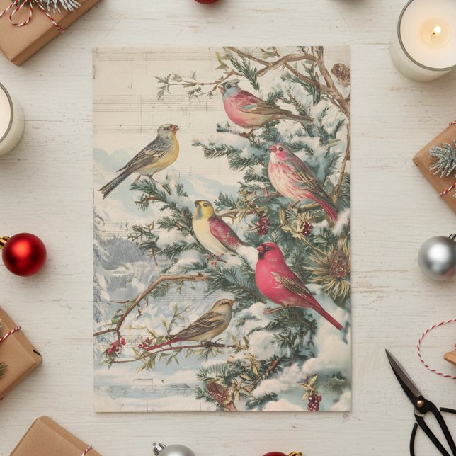 Vintage Christmas Songbirds Winter Tissue Paper (Creator Uploaded)