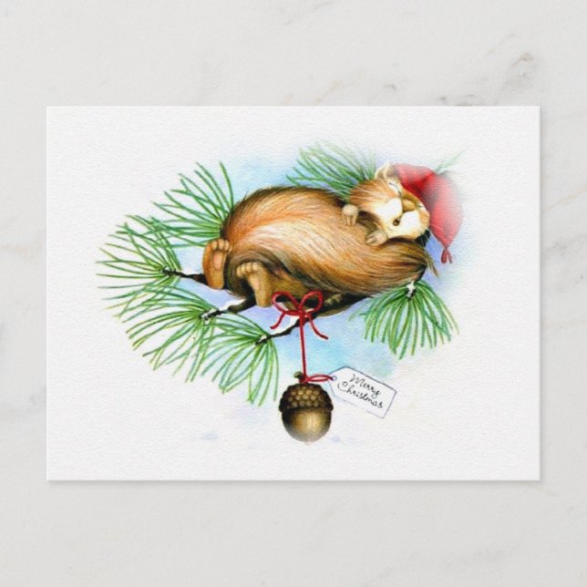 vintage christmas squirrel dreaming holiday postcard (Front)