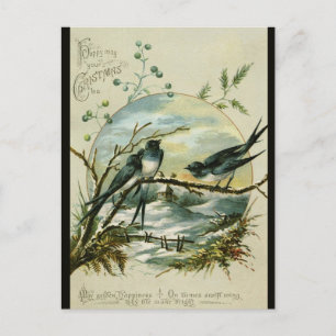 Vintage Christmas Swallows Birds Postcard