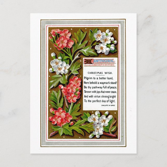 Vintage Christmas Wish Holiday Postcard (Front)
