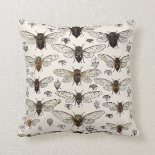 Vintage Cicadas Illustration Cushion