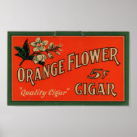 Vintage Cigar Advertisement: Orange Flower