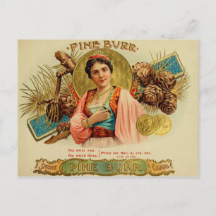 Vintage Cigar Box Label Postcard