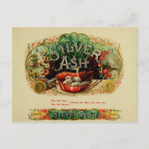 Vintage Cigar Box Label Postcard