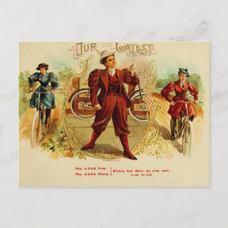 Vintage Cigar Box Label Postcard