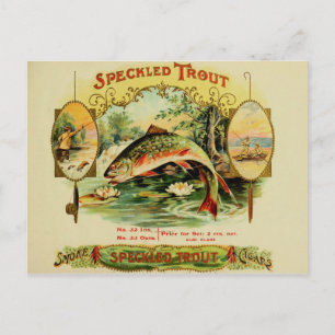 Vintage Cigar Box Label Postcard