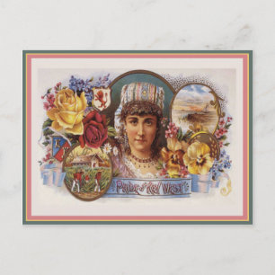 Vintage Cigar Box Label Postcard