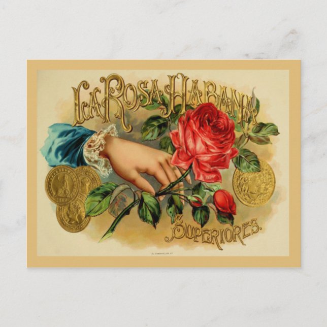 Vintage Cigar Box Label Postcard (Front)
