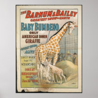 Vintage : circus Barnum & Bailey -