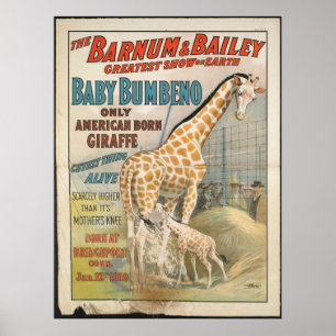 Vintage : circus Barnum & Bailey - Poster