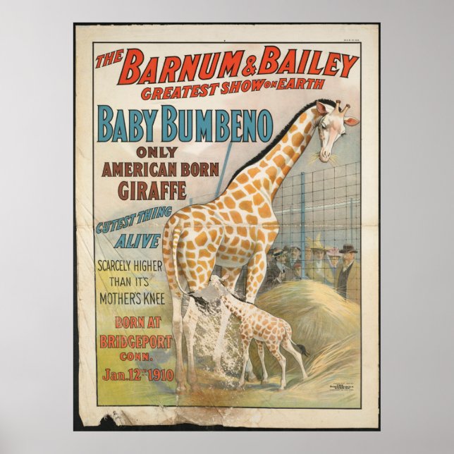 Vintage : circus Barnum & Bailey - Poster (Front)