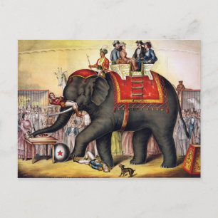 Vintage Circus Elephant Postcard