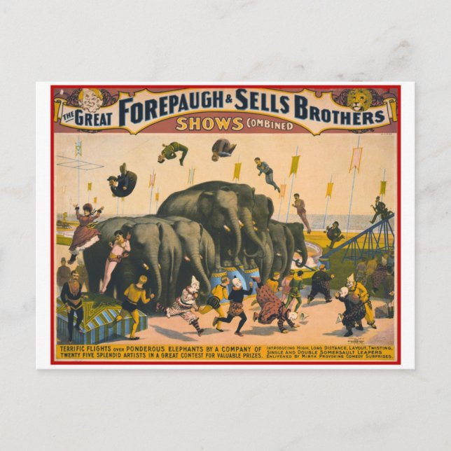 Vintage circus elephants acrobats Forepaugh & Sell Postcard (Front)