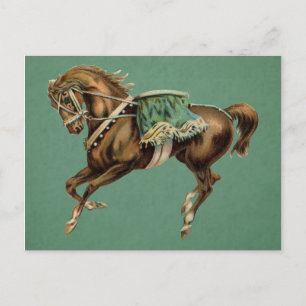 vintage circus horse postcard