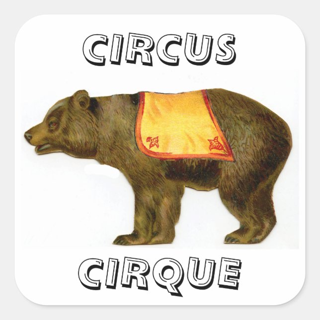 Vintage circus performing bear square sticker (Front)