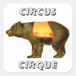 Vintage circus performing bear square sticker