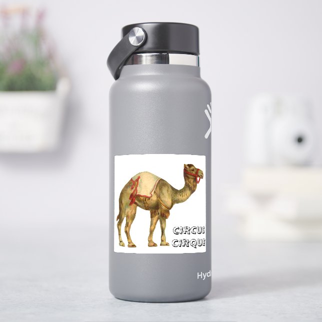Vintage circus performing camel (HydroFlask)