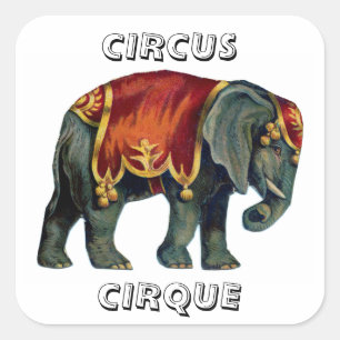 Vintage circus performing elephant circus , poste square sticker