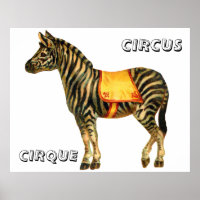Vintage circus performing zebra