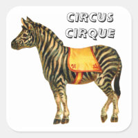 Vintage circus performing zebra