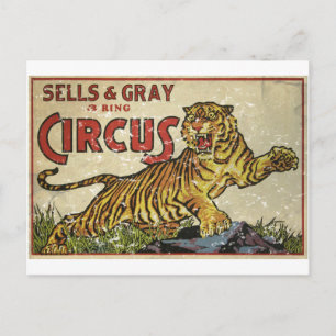 Vintage Circus Poster - circa 1930 - distressed Postcard