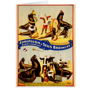 Vintage Circus - Sea Lions and Seals