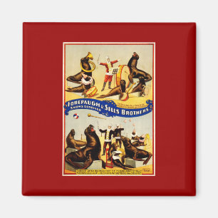 Vintage Circus - Sea Lions and Seals Magnet