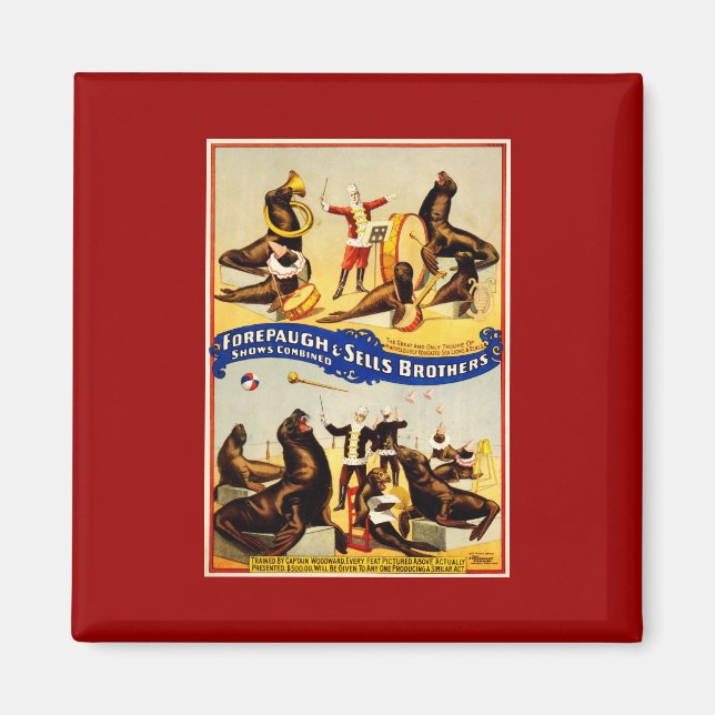 Vintage Circus - Sea Lions and Seals Magnet (Front)