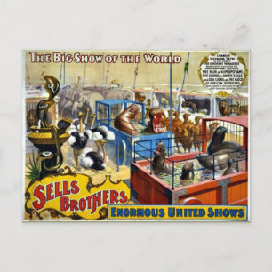 Vintage Circus - Sells Brothers Circus Postcard