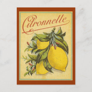 Vintage Citronnelle Ad Postcard