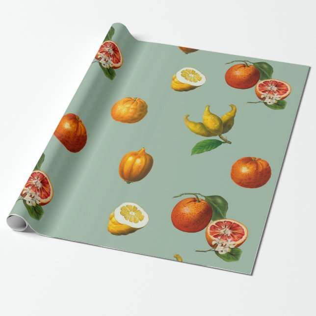 Vintage citrus botanical wrapping paper (Unrolled)