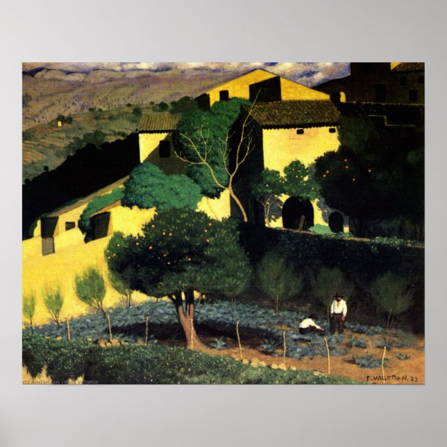 Vintage Citrus Trees Garden in Cagnes Landscape  Poster (Front)