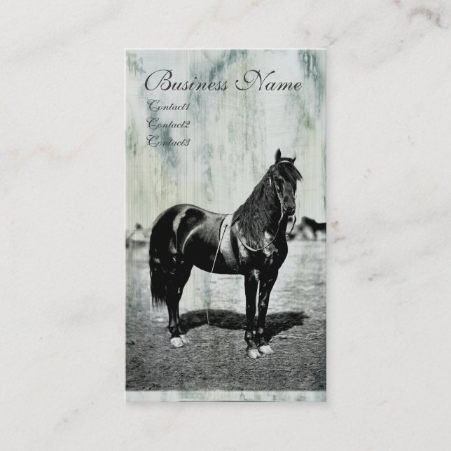 Vintage Civil War Union Horse Business Cards (Front)