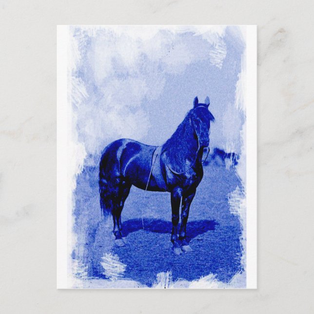 Vintage Civil War Union Horse Postcard (Front)