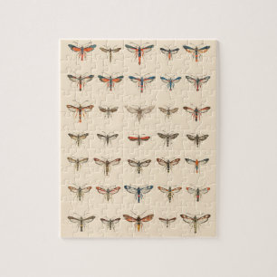 Vintage Clearwing Moths Jigsaw Puzzle