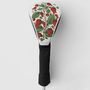 Vintage Clematis Coccinea Red Floral Art Golf Head Cover