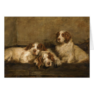 Vintage - Clumber Spaniel Dogs,