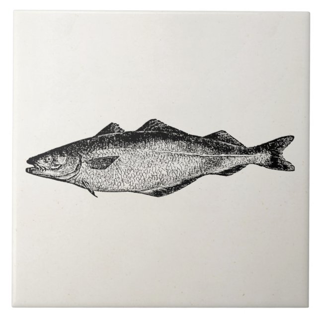 Vintage Coal Fish - Fishes Template Blank Tile (Front)