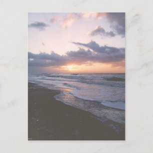 Vintage Coastal South Carolina Postcard