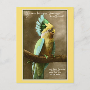 Vintage cockatoo friend birthday photo postcard