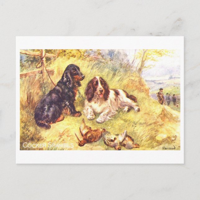 Vintage Cocker Spaniels Postcard (Front)